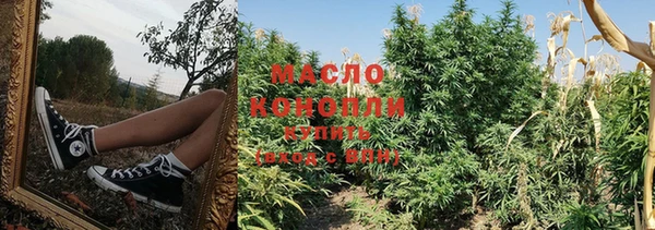 шишки Бронницы