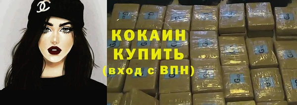 гашик Белокуриха