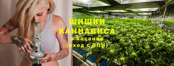 шишки Бронницы