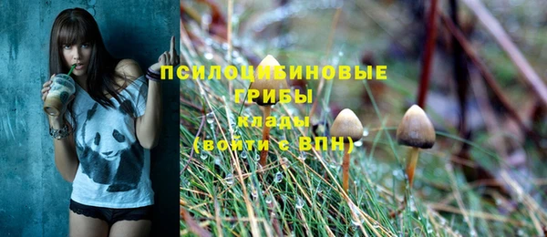 мяу мяу мука Богородицк